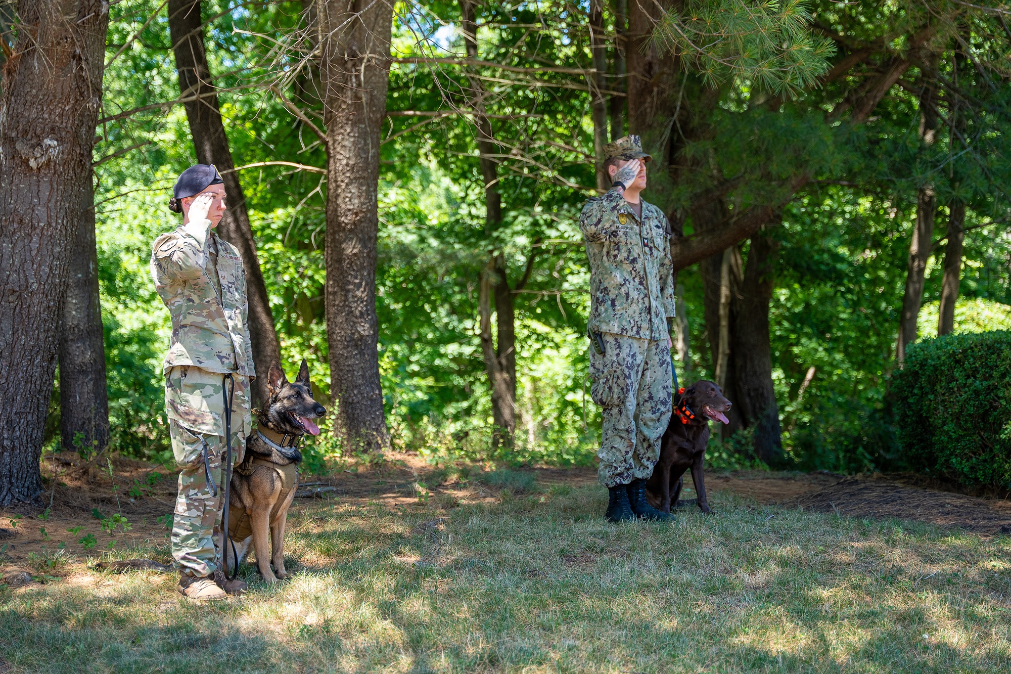 War-Dogs-Re-Dedication-Ceremony-2026-7821